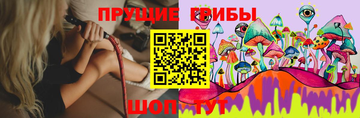 Керчь  Галлюциногенные грибы GOLDEN TEACHER  Галлюциногенные грибы прущие грибы  Вход с VPN 